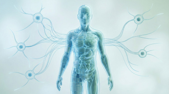 Patient-specific modeling environment